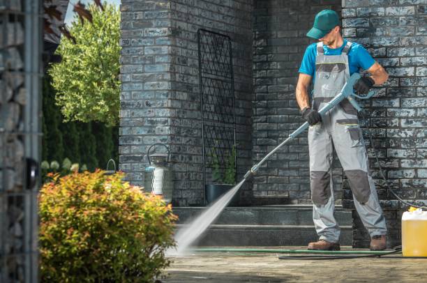 Best Roof Washing  in Mascotte, FL