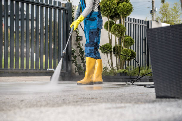 Best Pool Deck Cleaning  in Mascotte, FL
